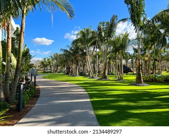 Orlando, FL USA -  December 23 2021: The Outdoor Sculpture Garden At The Wave Hotel At Lake Nona In Orlando, Florida.