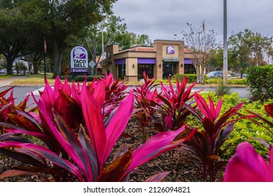 Orlando, Florida - February 6, 2022: Horizontal Wide View Of Taco Bell Restaurant Building Exterior With Flower In Foreground.