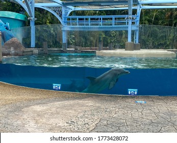 Orlando, FL/USA-7/3/20: The Dolphin Nursery  At Seaworld In Orlando, Florida.