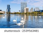 Orlando skyline at Lake Eola Park with swans downtown in fall autumn season in Florida in the United States