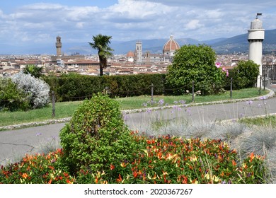 Ornamental chillies in a garden located at michelangelo square with nice view on the Cathedral of Santa Maria del Fiore in Florence, Italy.
