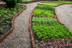 Ornamental Garden, A Fragment Of A Landscape Park. Edible Plants In The Flower Beds.