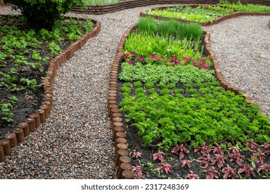 Ornamental garden, a fragment of a landscape park. Edible plants in the flower beds.
