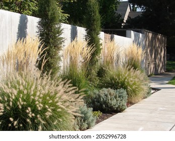 ornamental grasses in a xeriscape garden, Karl Foerster Grass, Pennisetum, shrubs - Shutterstock ID 2052996728