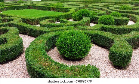 Boxwood Shrubs Images, Stock Photos & Vectors 