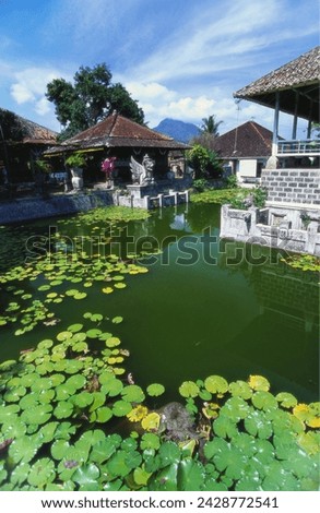 Ornamental lake, raja of karangasem palace, amlapura, bali, indonesia