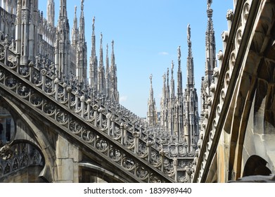 Ornamental In Milan Cathedral Vintage