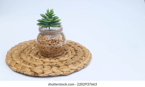 Ornamental Plants On A Rattan Woven Circle Base