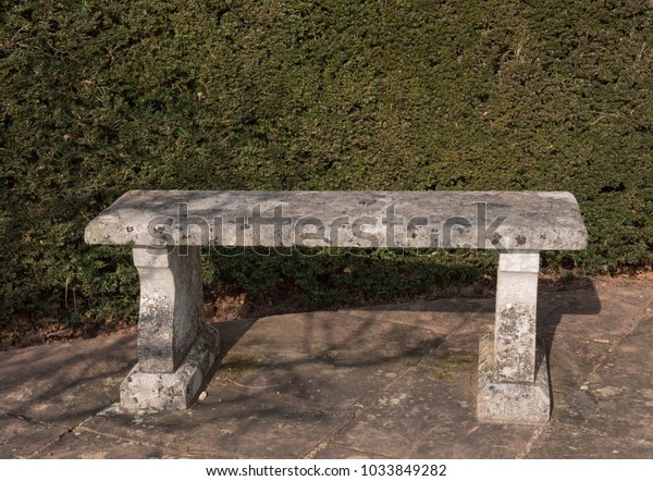 Ornamental Stone Bench Front Yew Hedge Stock Image Download Now