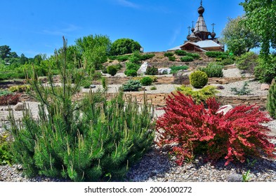 Ornamental Stony Garden With Dwarf Conifers On Slope Of Hill - Front Yard Of Orthodox Temple. Cultivar Thunbergs Barberry (Berberis Thunbergii 