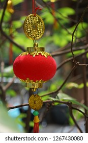 Ornaments are hang on an apricot tree in Saigon. The tree with yellow flowers are symbol for Tet holidays in the Southern Vietnam. While in the Northern, the cherry blossom is lunar new year symbol.