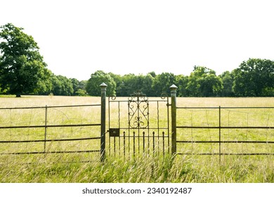 Ornate georgian period wrought Iron gate seen at the entrance to a large grass field using for grazing sheep.