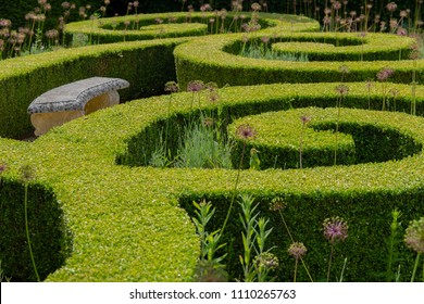 Ornate Swirling, Green Privet Hedge