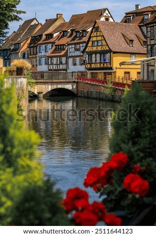 Ornate traditional half timbered houses with blooming flowers along the canals, Little Venice district in Colmar, picturesque village in Alsace France