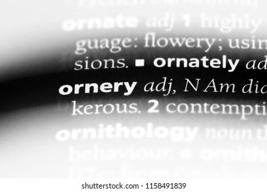 Ornery Word Dictionary Ornery Concept Stock Photo 1158491839 | Shutterstock