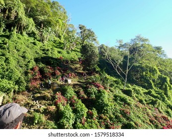 Oro, Beautiful Scenery On The Kokoda Track