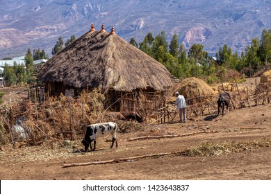 894 Cattle ethiopia Images, Stock Photos & Vectors | Shutterstock