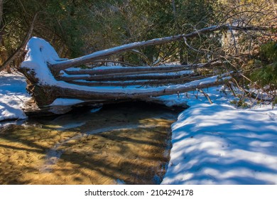 Orono Crown Land Conservation Area In Orono Ontario Canada In Winter