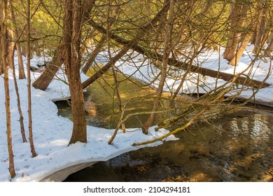 Orono Crown Land Conservation Area In Orono Ontario Canada In Winter