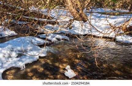 Orono Crown Land Conservation Area In Orono Ontario Canada In Winter