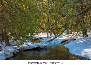 Orono Crown Land Conservation Area In Orono Ontario Canada In Winter