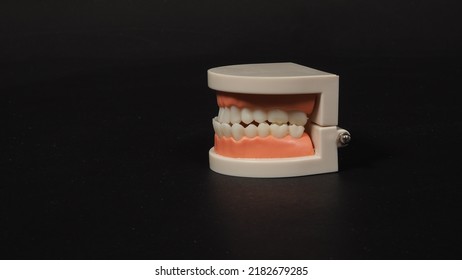 251 3d Isolated Ortho Images, Stock Photos & Vectors | Shutterstock