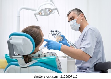 An orthodontist conducts a consultation on dental prosthetics. Doctor dentist shows an artificial plastic jaw with dental implants. Background of modern clinic
