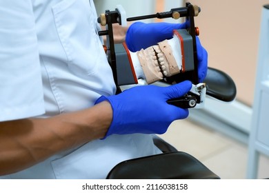 Orthodontist Is Working With Jaw Mold In Dental Facebow Process Of Prosthetics. Orthodontic Treatment In Dentistry, Prosthetics. Bite And Joint, Occlusion Correction Before Installing Veneers Crowns.