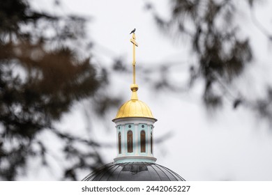 Orthodox Church. Orthodox cross. A bird sitting on the cross of the golden dome of the church. Golden dome of the Orthodox Church.