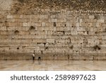 An Orthodox Jewish man prays at the Western Wall in Jerusalem on a rainy winter day. A peaceful and spiritual atmosphere.