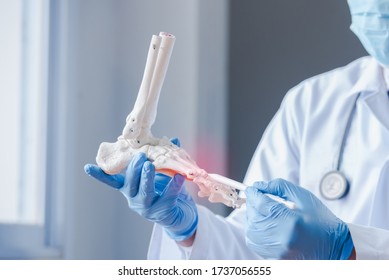 An orthopedic doctor looking at a fake ankle bone Male doctors orthopedic wears medical masks and medical gloves To analyze the causes of ankle degeneration in the office at the hospital - Shutterstock ID 1737056555