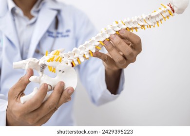 Orthopedic doctor or surgeon use spine anatomy model or mock up for patient education about back pain on white background in examination room.Spinal stenosis or backache.White uniform or medical gown. - Powered by Shutterstock