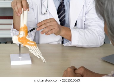 Orthopedic Surgeon In White Gown And Stethoscope Pointing At Human Skeleton Foot Ankle Bone Joint Anatomy Model, Present To The Elderly Patient About Treatment Of The Ankle With Surgery.