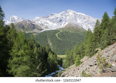 Ortler Mountain Panorama