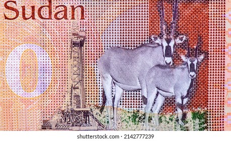 Oryx antelopes, and Oil derrick. Portrait from South Sudan 20 Pounds 2015 Banknotes.