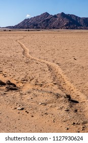 Oryx tracks lead across the orange sand plains in Namibia, Africa.