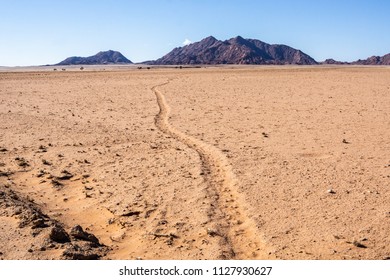 Oryx tracks lead across the orange sand plains in Namibia, Africa.