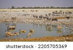 Oryx, zebras, springbok go drinking to the water hole in Etosha national park, Namibia