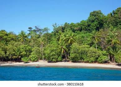 Osa Peninsula Costa Rica