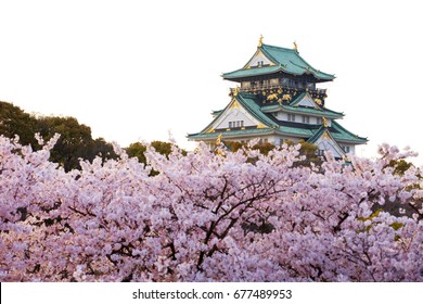 Osaka Castle Cherry Blossom Season Osaka Stock Photo Edit Now