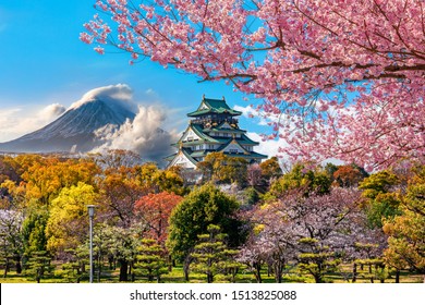  Osaka Castle and full cherry blossom, with Fuji mountain background, Japan