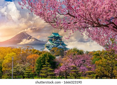 Osaka Castle And Full Cherry Blossom, With Fuji Mountain Background, Japan