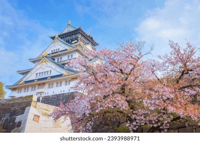 Osaka Castle in Osaka, Japan is one of Osaka's most popular hanami spots during the cherry blossom season