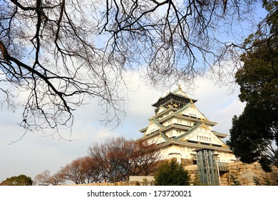 Osaka Castle In Osaka, Japan(winter Season)