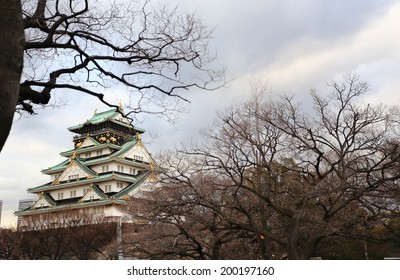 Osaka Castle In Osaka, Japan(winter Season)