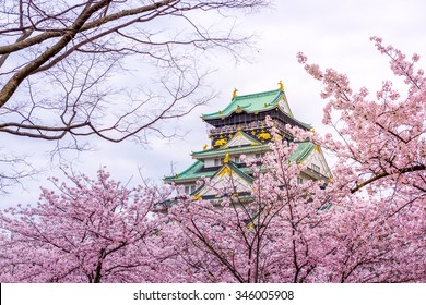 Osaka Castle Sakura