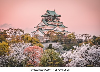 Osaka Castle at sunset, beautiful Japanese temple cherry blossom trees, sakura season, autumn Japan.