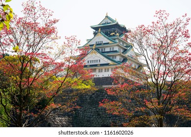 Osaka Castle,Osakajo, Toyotomi Hideyoshi