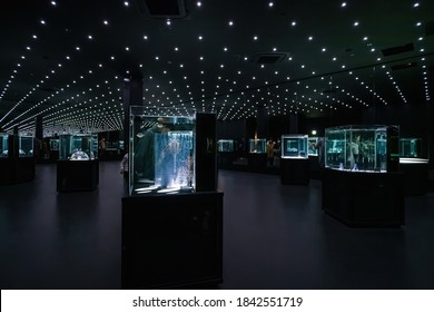 Osaka, Japan - March 12, 2019: SHAPES Zone Of NIFREL Interactive Aquazoo Exhibit The Artistic Shapes Of Creature In The Dimly Lit Room, Decorated With Small Dots Of Light And Endless Mirror Reflection