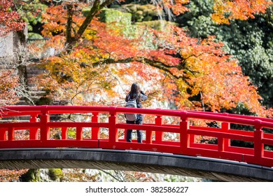 Meiji No Mori Mino Quasi National Park Images Stock Photos Vectors Shutterstock